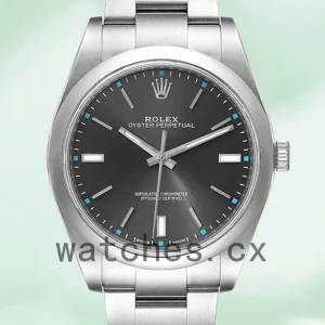 Rolex Oyster Perpetual 41mm m114300-0002 Unisex Gray Dial