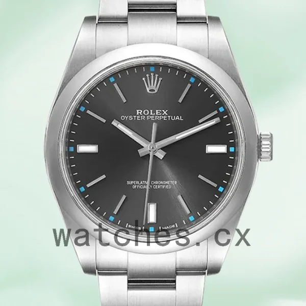 Rolex Oyster Perpetual 41mm m114300-0002 Unisex Gray Dial