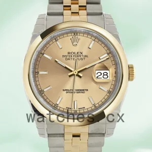 Rolex Datejust Men's 116203CSJ 36mm Champagne Dial