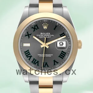 Rolex Datejust Men's 41mm m126303-0019 Automatic Grey Dial