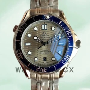 Omega Seamaster 210.30.42.20.06.001 42mm Men Grey Dial
