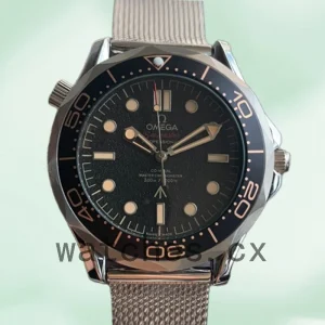 Omega Seamaster James Bond 007 Men 210.90.42.20.01.001 42 mm Strap Silver-tone