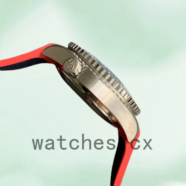 Omega Seamaster 215.32.43.21.04.001 44 mm Men Strap - Image 2