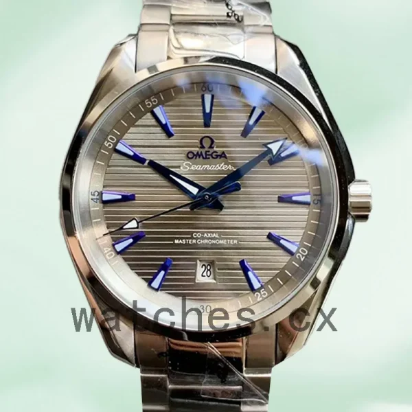Omega Aqua Terra 40 mm 220.10.41.21.06.001 Men Bracelet