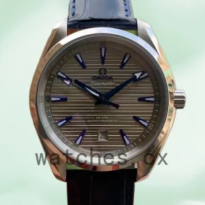 Omega Aqua Terra Men 220.13.41.21.06.001 41 mm Strap Asian Automatic