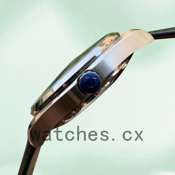 Omega Aqua Terra Men 220.13.41.21.06.001 41 mm Strap Asian Automatic - Image 2