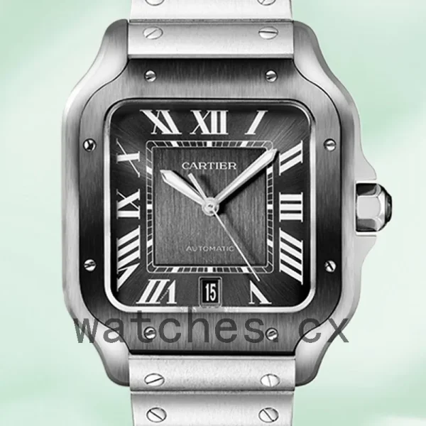 Cartier Santos WSSA0037 Men's 39mm Black Dial