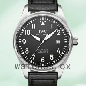 IWC Pilot 43mm/40mm IW328201 Men's Leather Strap
