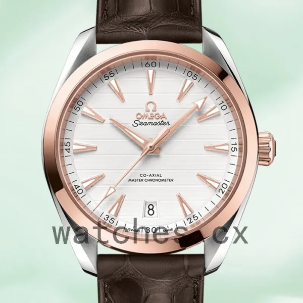 Omega Seamaster Men 220.23.41.21.02.001 42mm Silver-tone Leather Strap