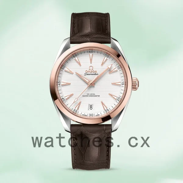 Omega Seamaster Men 220.23.41.21.02.001 42mm Silver-tone Leather Strap - Image 2
