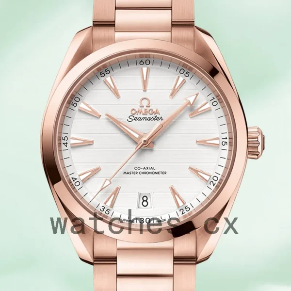 Omega Seamaster 41mm 220.50.41.21.02.001 Men Automatic