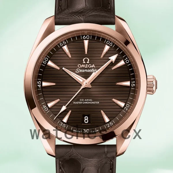 Omega Seamaster Men 220.53.41.21.13.001 41mm Automatic Brown Dial