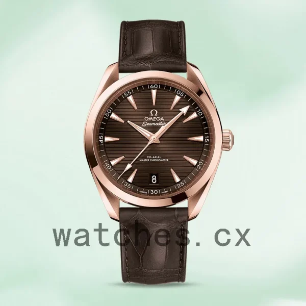 Omega Seamaster Men 220.53.41.21.13.001 41mm Automatic Brown Dial - Image 2