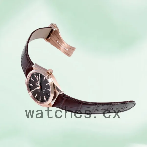Omega Seamaster Men 220.53.41.21.13.001 41mm Automatic Brown Dial - Image 3