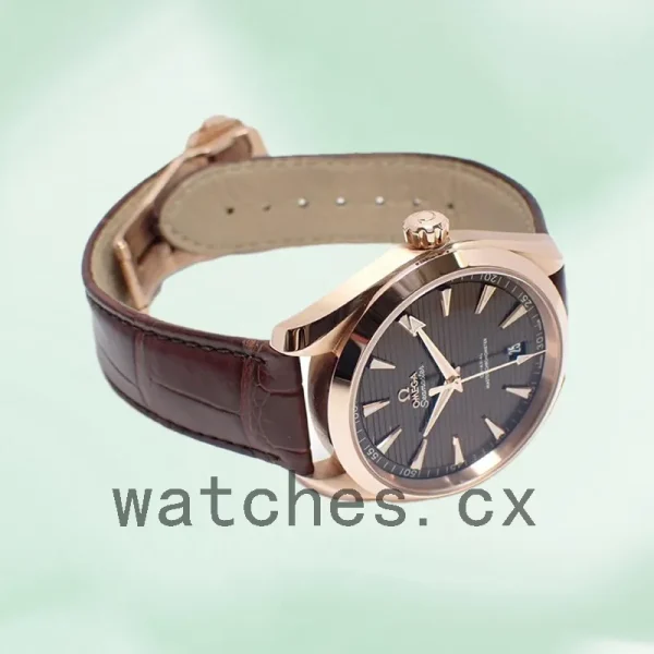 Omega Seamaster Men 220.53.41.21.13.001 41mm Automatic Brown Dial - Image 4