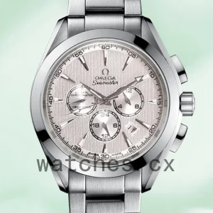 Omega Seamaster Men 231.10.44.50.09.001 44mm Silver-tone