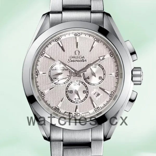 Omega Seamaster Men 231.10.44.50.09.001 44mm Silver-tone