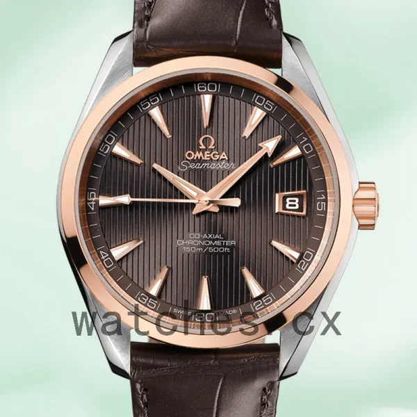 Omega Seamaster 41mm Men 231.23.42.21.06.001 Silver-tone