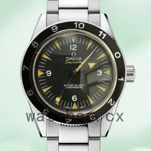 Omega Seamaster 233.30.41.21.01.001 41mm Men Black Dial