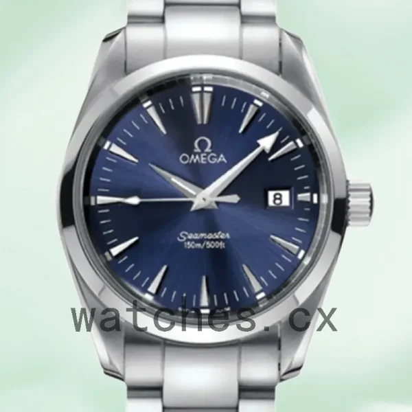 Omega Seamaster 41mm 2518.8 Men Automatic