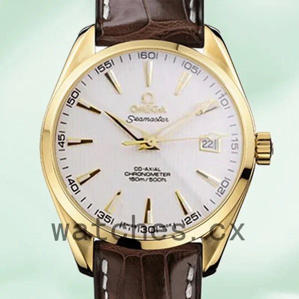 Omega Seamaster 41mm SeamasterWSL-004 Men Leather Strap