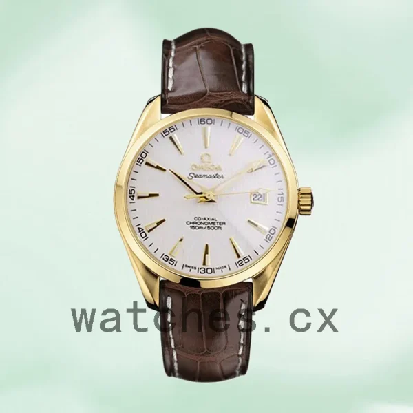 Omega Seamaster 41mm SeamasterWSL-004 Men Leather Strap - Image 2