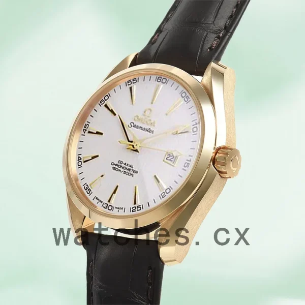 Omega Seamaster 41mm SeamasterWSL-004 Men Leather Strap - Image 3