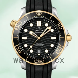 Omega Seamaster 41mm 210.22.42.20.01.001 Men Black Dial Silver-tone