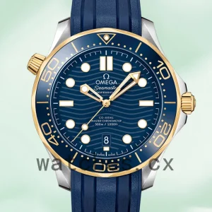 Omega Seamaster Men 41mm 210.22.42.20.03.001 Silver-tone