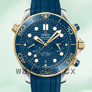 Omega Seamaster Men 210.22.44.51.03.001 44mm Silver-tone Automatic