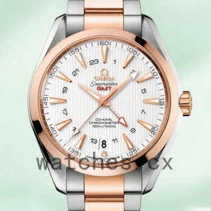 Omega Seamaster Men 41mm 231.20.43.22.06.003-002 Silver-tone