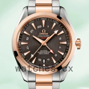 Omega Seamaster Men 231.20.43.22.06.003 41mm Brown Dial Silver-tone