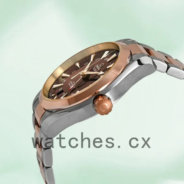 Omega Seamaster Men 231.20.43.22.06.003 41mm Brown Dial Silver-tone - Image 3