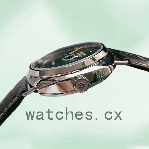 Panerai Radiomir PAM00735-001 Men's 44mm Green Dial Automatic - Image 3