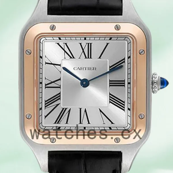 Cartier Santos Dumont  Men's W2SA0011 Quartz