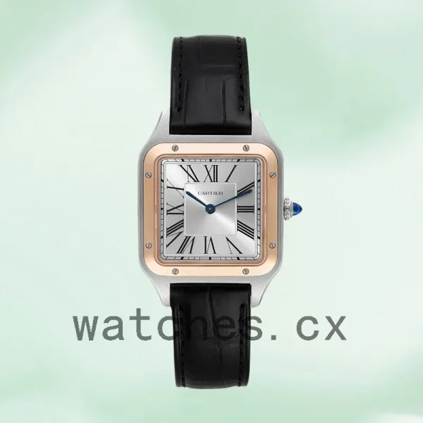 Cartier Santos Dumont  Men's W2SA0011 Quartz - Image 2