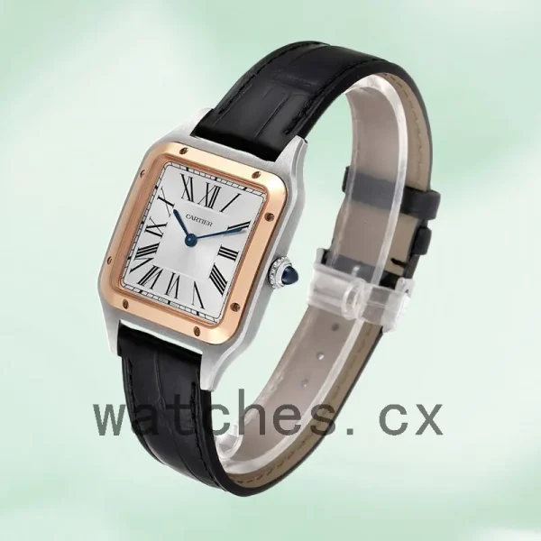 Cartier Santos Dumont  Men's W2SA0011 Quartz - Image 3
