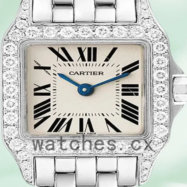 Cartier Santos Demoiselle Ladies 26mm WF9005Y8 Bracelet