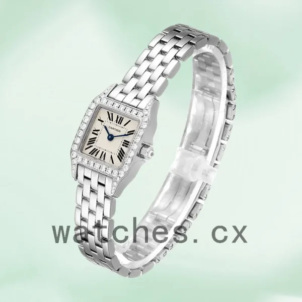 Cartier Santos Demoiselle Ladies 26mm WF9005Y8 Bracelet - Image 3